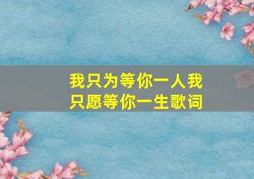 我只为等你一人我只愿等你一生歌词