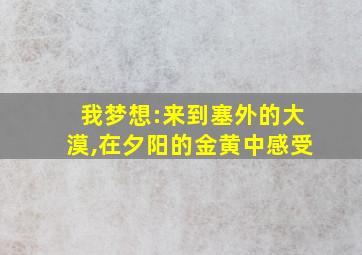 我梦想:来到塞外的大漠,在夕阳的金黄中感受