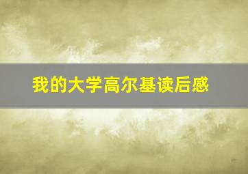 我的大学高尔基读后感