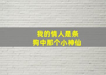 我的情人是条狗中那个小神仙