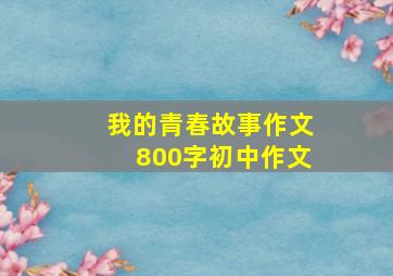 我的青春故事作文800字初中作文