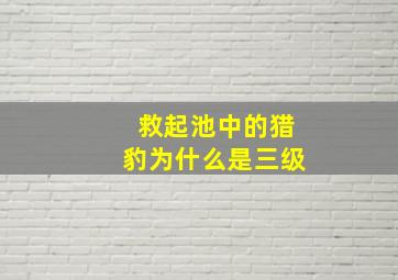 救起池中的猎豹为什么是三级