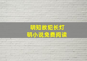 明知故犯长灯明小说免费阅读