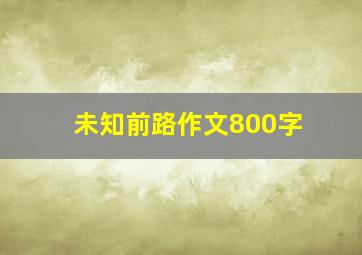 未知前路作文800字