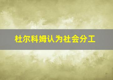 杜尔科姆认为社会分工