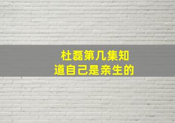 杜磊第几集知道自己是亲生的