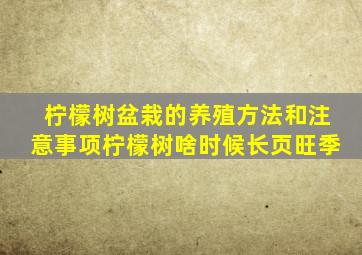 柠檬树盆栽的养殖方法和注意事项柠檬树啥时候长页旺季