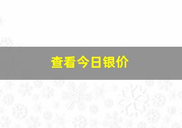 查看今日银价