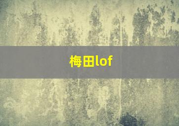 梅田lof