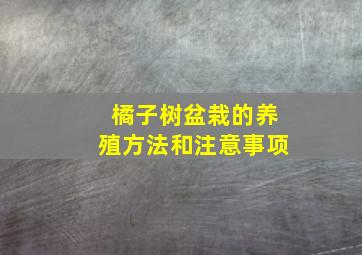 橘子树盆栽的养殖方法和注意事项