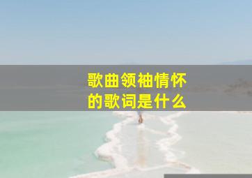 歌曲领袖情怀的歌词是什么