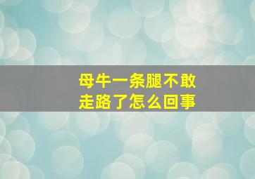 母牛一条腿不敢走路了怎么回事