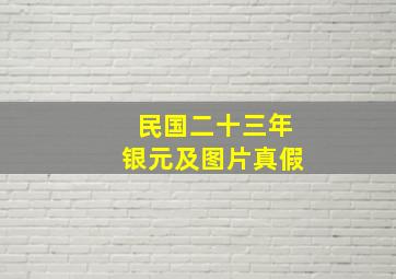 民国二十三年银元及图片真假