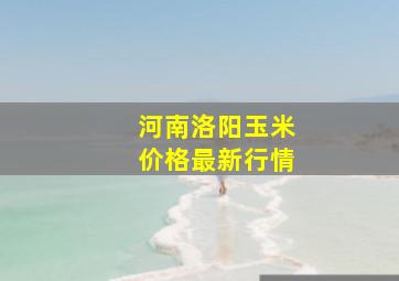 河南洛阳玉米价格最新行情