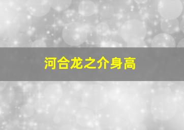 河合龙之介身高