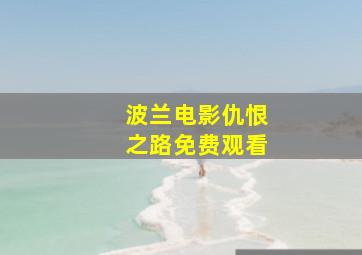 波兰电影仇恨之路免费观看