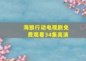 海狼行动电视剧免费观看34集高清