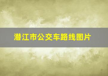 潜江市公交车路线图片