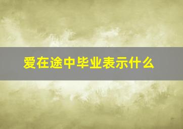 爱在途中毕业表示什么