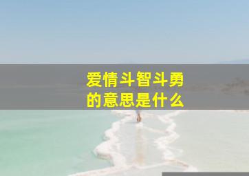 爱情斗智斗勇的意思是什么