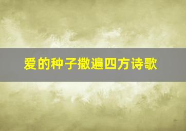 爱的种子撒遍四方诗歌