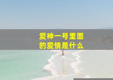 爱神一号里面的爱情是什么