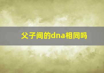 父子间的dna相同吗