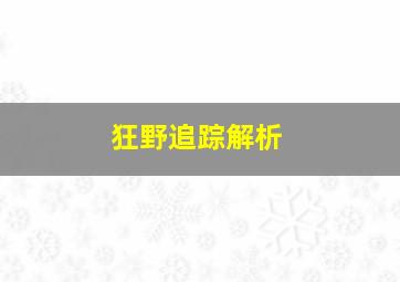 狂野追踪解析