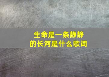 生命是一条静静的长河是什么歌词