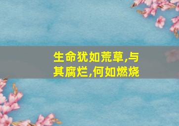 生命犹如荒草,与其腐烂,何如燃烧