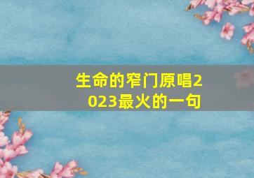 生命的窄门原唱2023最火的一句