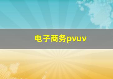 电子商务pvuv