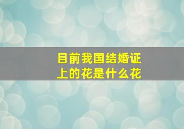 目前我国结婚证上的花是什么花