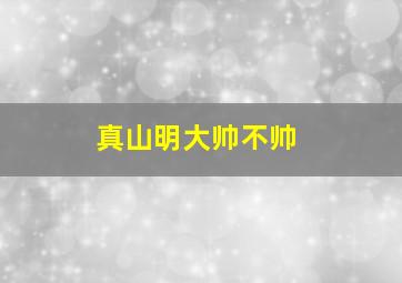 真山明大帅不帅