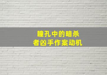 瞳孔中的暗杀者凶手作案动机