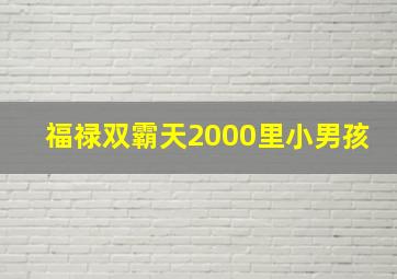 福禄双霸天2000里小男孩