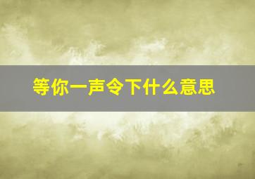 等你一声令下什么意思