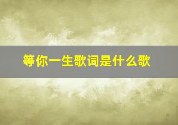 等你一生歌词是什么歌