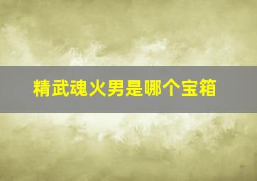 精武魂火男是哪个宝箱