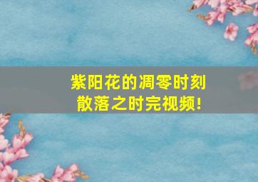 紫阳花的凋零时刻散落之时完视频!