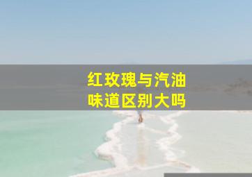 红玫瑰与汽油味道区别大吗