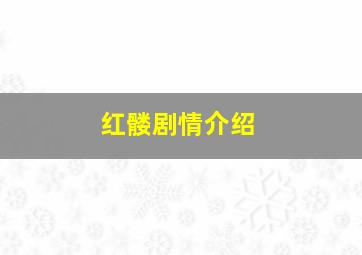 红髅剧情介绍