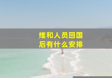 维和人员回国后有什么安排