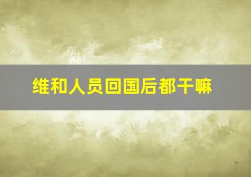 维和人员回国后都干嘛