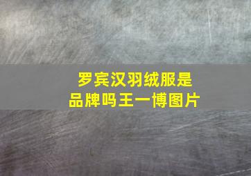 罗宾汉羽绒服是品牌吗王一博图片