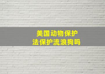 美国动物保护法保护流浪狗吗