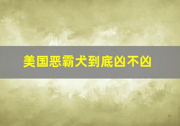 美国恶霸犬到底凶不凶