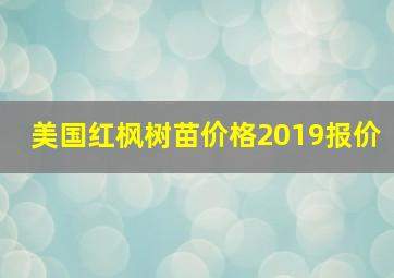 美国红枫树苗价格2019报价