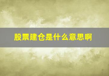 股票建仓是什么意思啊