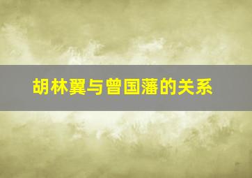 胡林翼与曾国藩的关系